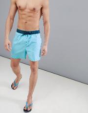 sundays swim shorts 16 inch  blue