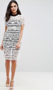 Perspective Empire Lace Dress With Lining