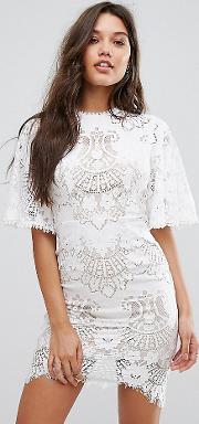 Allover Lace Open Back Mini Dress With Fluted Sleeve Detail