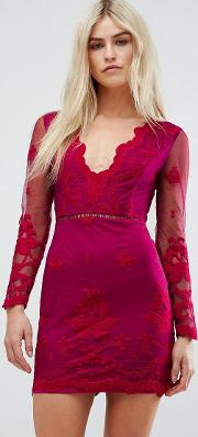 long sleeve embroidred mesh mini dress with plunge neck