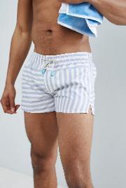 swim shorts stripe print