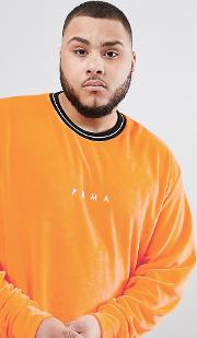 plus velvet crew neck sweatshirt in orange exclusive to asos
