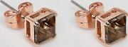 Swarosski Crystal Earrings With Rose Gold Setting