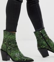 Pointed Western Boot Snake