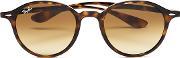  round classic sunglasses havana