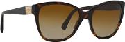 Brown Dg4195 Butterfly Sunglasses