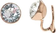 Rose Gold Plated Swarovski Crystal Leverback Earrings