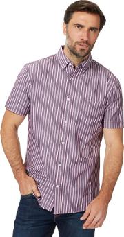 Big And Tall Purple Striped Shirt