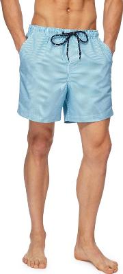 Turquoise Striped Swim Shorts