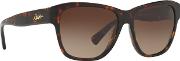 Brown Ra5226 Square Sunglasses