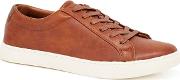 Tan dylan Lace Up Trainers