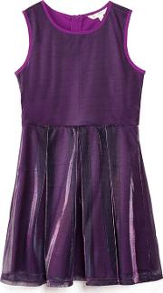 Purple Metallic Party Skater Dress