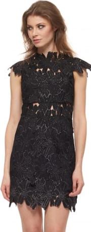 Piper Black Lace High Collar Mini Dress 