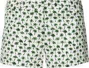 Palm Print Short Shorts Women Cottonspandexelastane 10, White