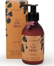 Wild Fig & Grape Sumptuous Hand & Body Lotion 225ml