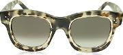  Helen Cl 41397s T7mz3 Havana Acetate Cat Eye Women's Sunglasses