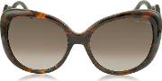 Roberto Cavalli Sunglasses, Mintaka 911s 52f Havana Acetate Women's Sunglasses 