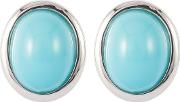 1980s Vintage D Orlan Faux Turquoise Clip On Earrings