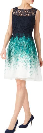 Petite Lace Organza Dress, Multinavy