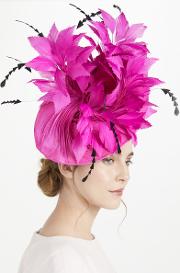 Gia Small Disc Feather Spray Occasion Hat