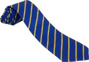 Unisex Striped School Tie