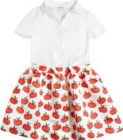 Apples Cotton Poplin & Duchesse Dress 