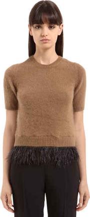 Round Neck Sweater With Feathers 