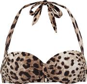 Leopard Print Bikini Top 