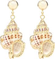 Marina Shell Earrings 