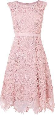 Rose Lace Fit And Flare Dress