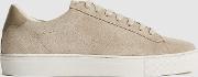 Finley Suede Trainers