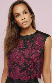 Embroidered Mesh Lace Cropped Top Dark Red