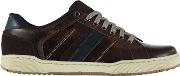 Canary Casual Mens Trainers